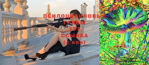 твердый Нефтегорск