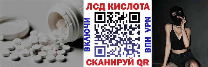 дарнет шоп  Болотное  Лсд 25 экстази ecstasy 